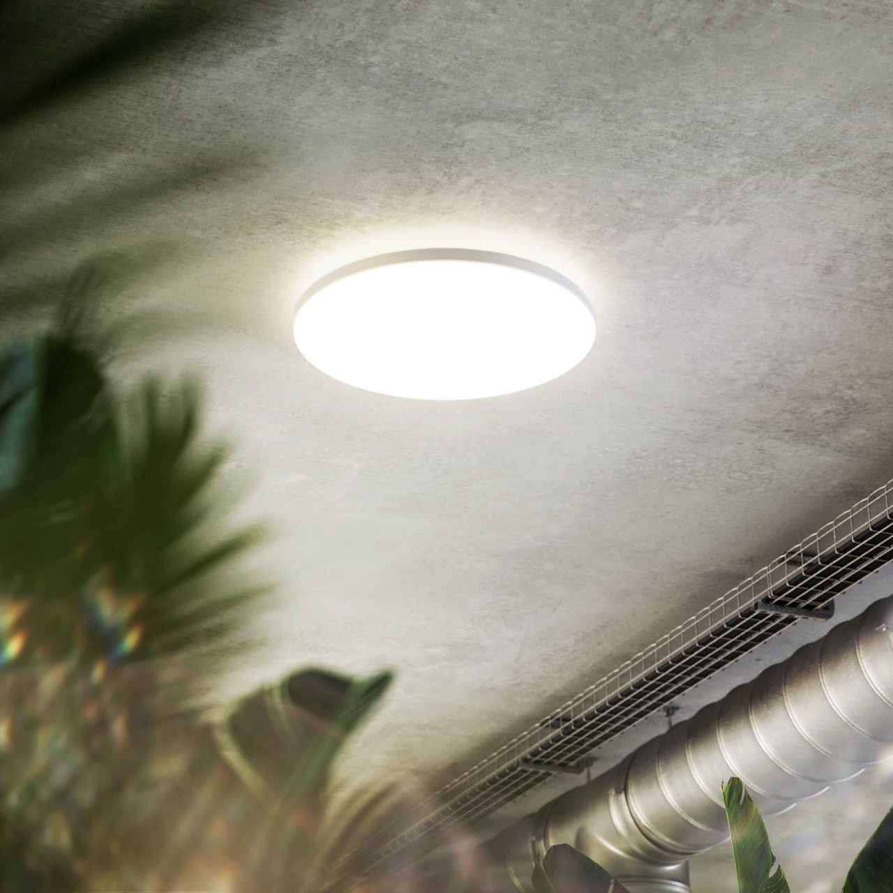 LED Aufbauleuchte - CIRCO